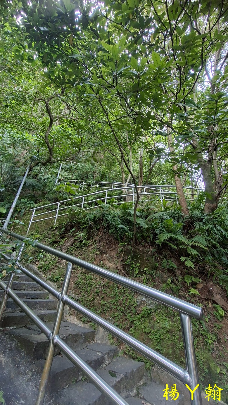 【郊山走走】輕鬆健行內湖7連峰、再賞大湖公園落羽松