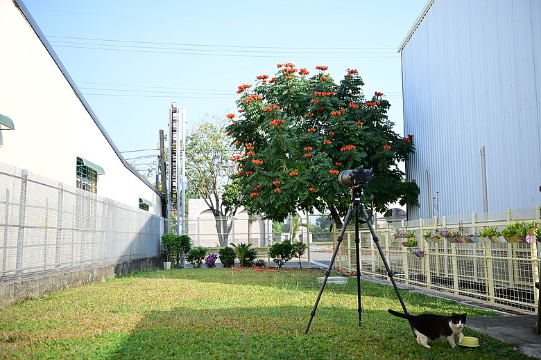 在自家拍鳥真有意思