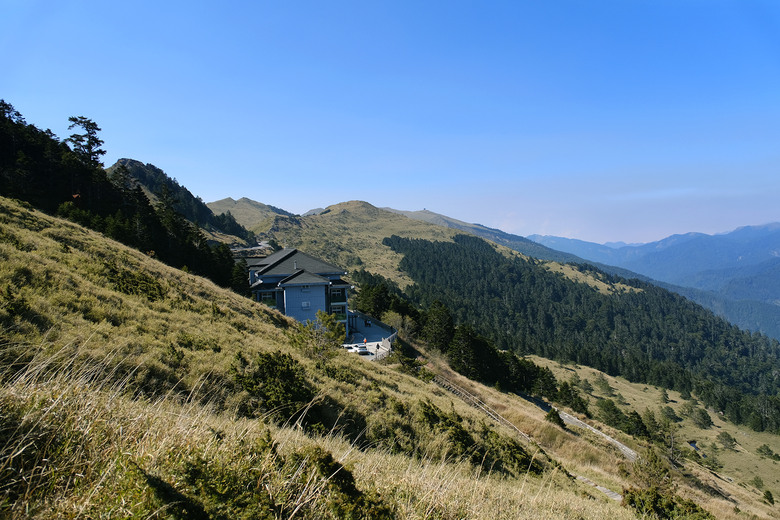 【合歡山東峰】絕美的登山步道與高山杜鵑花