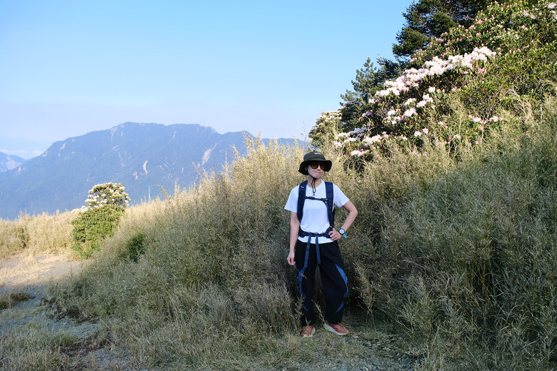 【合歡山東峰】絕美的登山步道與高山杜鵑花