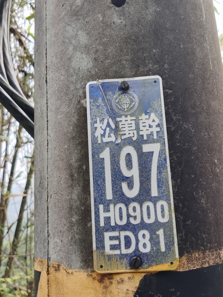 台灣異域穿越（二）－－武界曲冰與松林-高峰巷-霧社