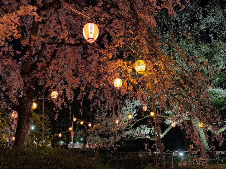 日本東北賞櫻六日遊(omsystem OM3+OM1II)