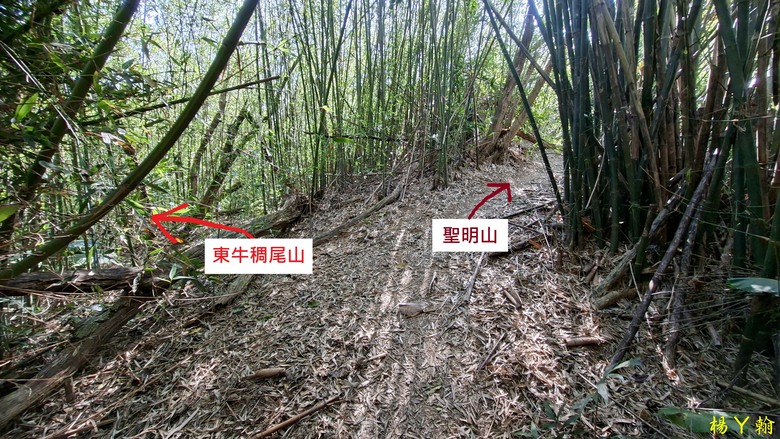 【郊山走走】輕鬆健行內湖7連峰、再賞大湖公園落羽松