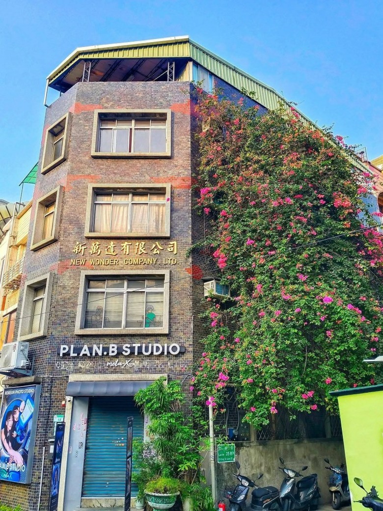 台北中山站景點必拍!赤峰街九重葛花牆4層樓高花海正盛開!