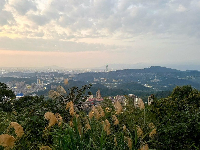 貓空之旅|在指南宮遇見櫻花與夜景的療癒時光