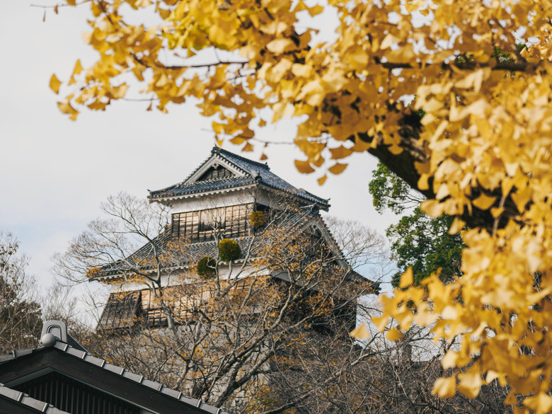 九州之旅 下 OM3+12-100 F4