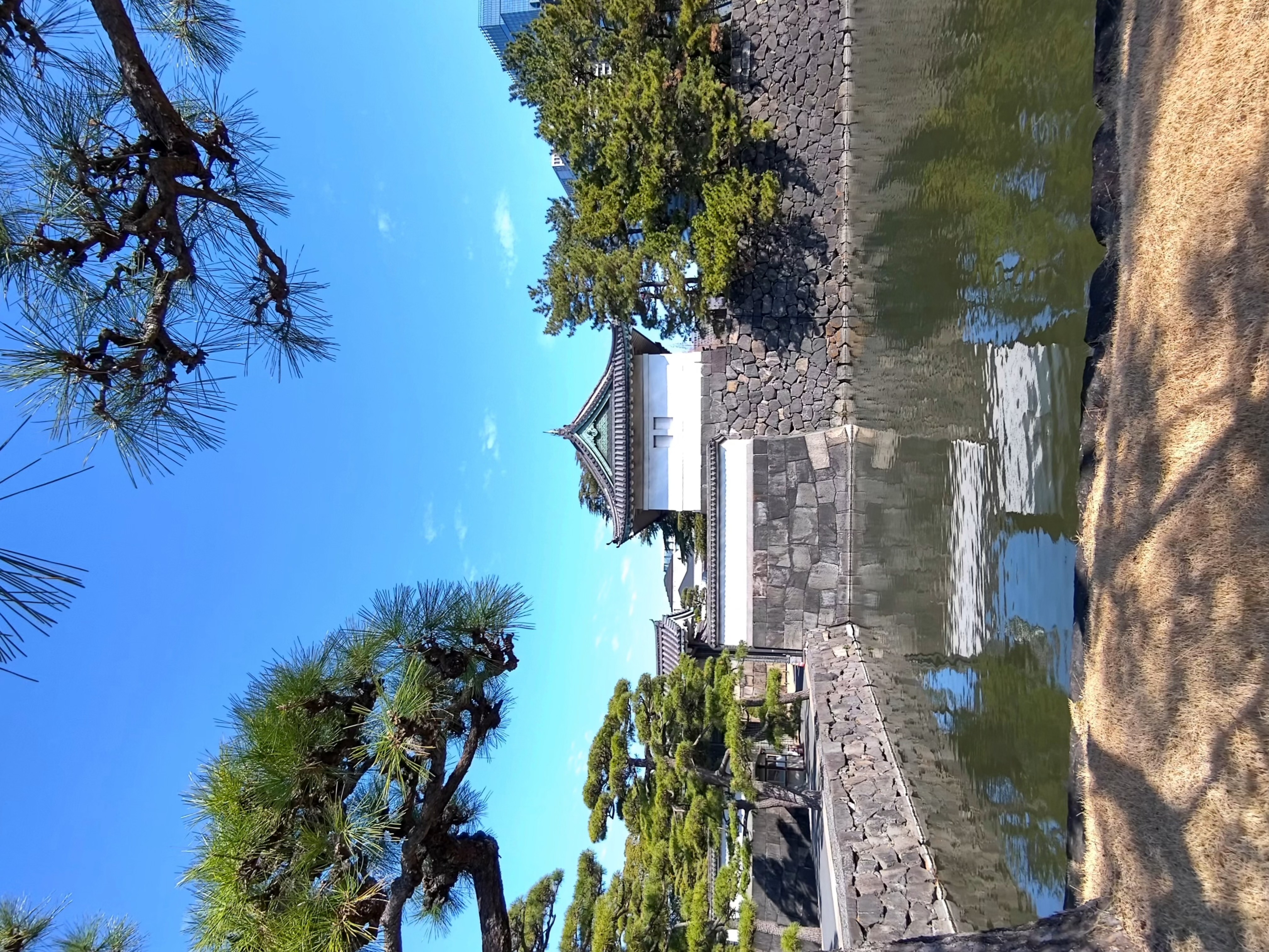 變色鏡片－Htc VIVE Eagle實測心得分享（含日本東京圖賞）