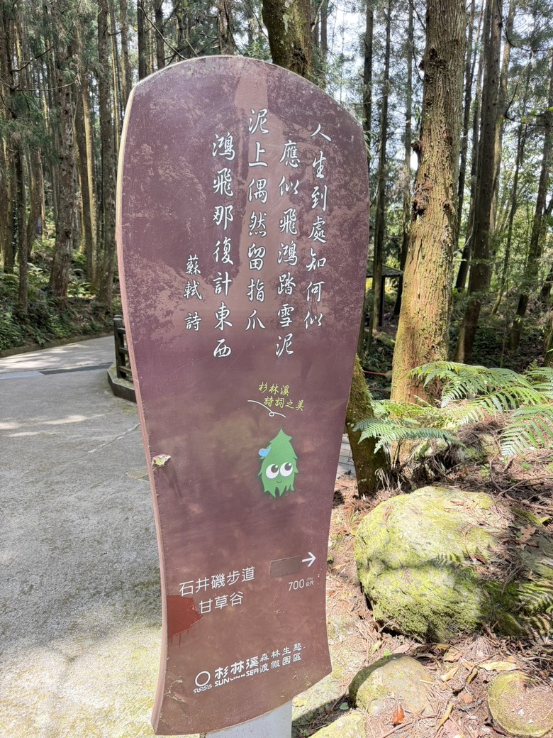 原本小失望,最後卻很喜歡|杉林溪5小時12公里慢走紀錄