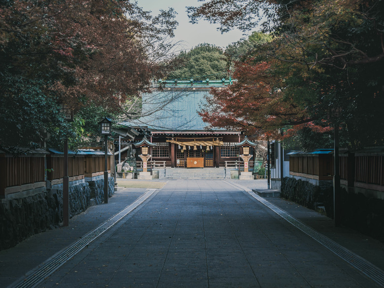 九州之旅 下 OM3+12-100 F4
