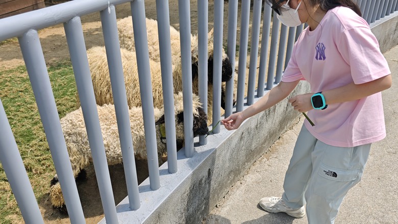 （號稱）亞洲最大鳥類動物園 - 九九峰動物樂園一日遊記 -