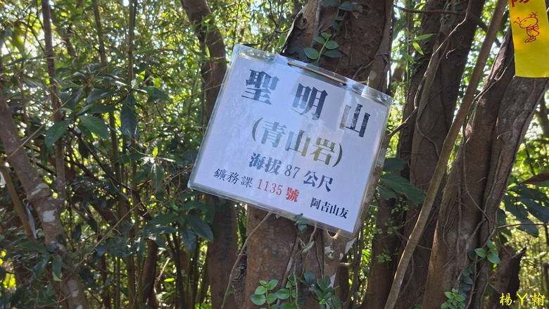 【郊山走走】輕鬆健行內湖7連峰、再賞大湖公園落羽松