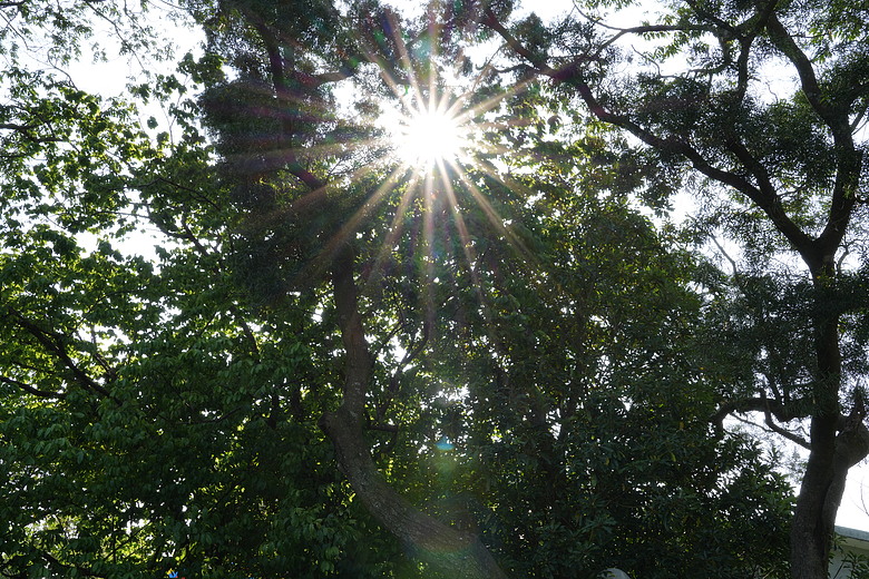 點我看大圖 Tamron 35-100mm F2.8 DiIII VXD(A078)評測報告|極致輕量化之作、「人像/旅遊」通吃的全能之選!