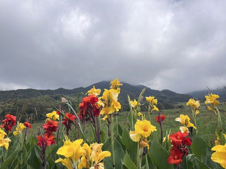 一神, 二玉, 三富士山~ 1,2,3準備出國去爬山 ! 3,2,1 自我挑戰好得意 !