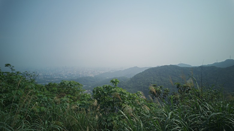 不一樣的 O 型。土城賞桐的另一種走法：永寧站 ➔ 雷公岩 ➔ 天上山環狀