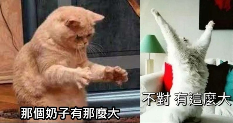 看完0時盜數的一些小心得(有雷)