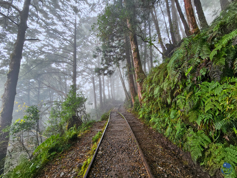 宜蘭-大同|*煙嵐雲岫* 太平山快閃之旅