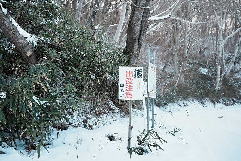 2026 北海道12天小蜜月 (下)『白老町隱藏景點、洞爺湖奢華湖景飯店 & 函館百萬夜景』