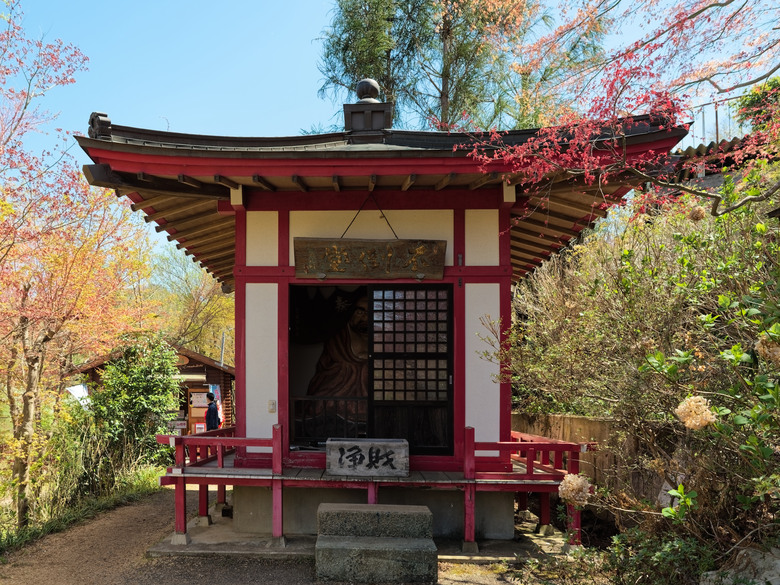 日本東北賞櫻六日遊(omsystem OM3+OM1II)