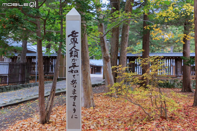 整理老相片-2019北海道