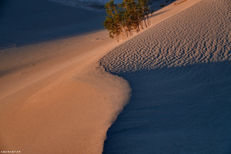 美國Death Valley國家公園巡禮
