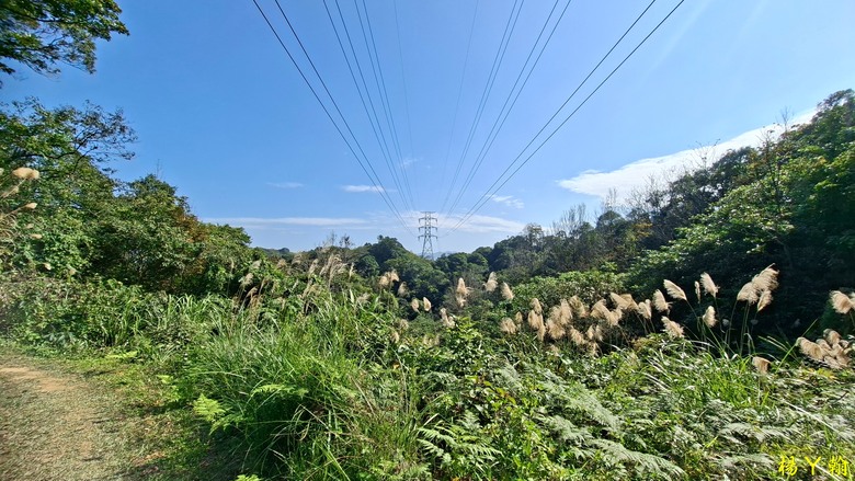 【郊山走走】輕鬆健行內湖7連峰、再賞大湖公園落羽松