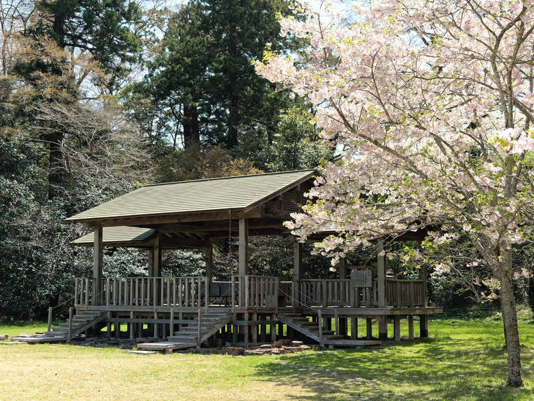 日本東北賞櫻六日遊(omsystem OM3+OM1II)