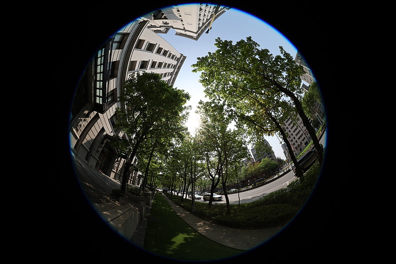 Canon RF 7-14mm F2.8-3.5L Fisheye STM 評測報告｜當圓周遇上對角線、探索 190° 的極限視覺張力！