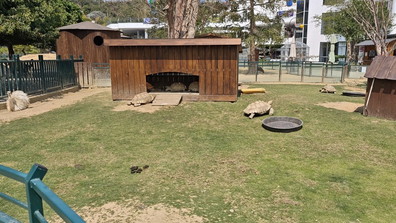 （號稱）亞洲最大鳥類動物園 - 九九峰動物樂園一日遊記 -