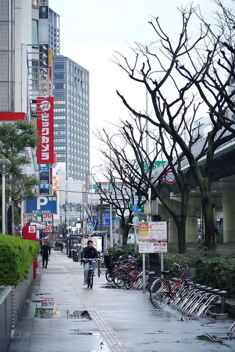 點我看大圖 2026關西櫻花之旅(下)