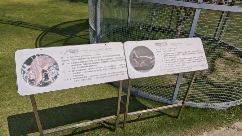 （號稱）亞洲最大鳥類動物園 - 九九峰動物樂園一日遊記 -