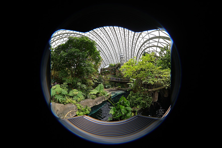 Canon RF 7-14mm F2.8-3.5L Fisheye STM 評測報告｜當圓周遇上對角線、探索 190° 的極限視覺張力！
