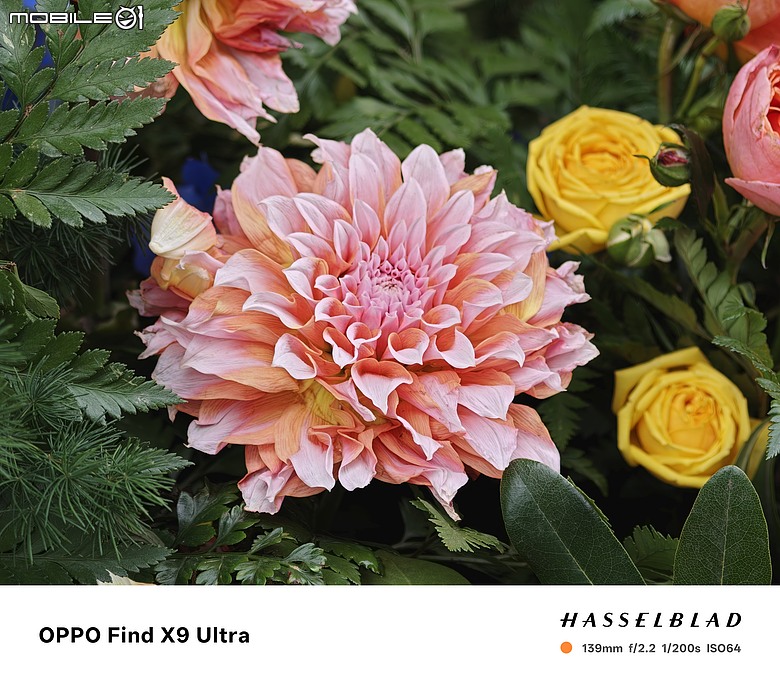 OPPO Find X9 Ultra 相機初試｜全焦段光學覆蓋的「口袋哈蘇」！