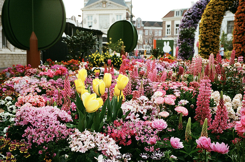 2026 三月 北九州自駕旅