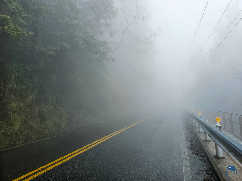宜蘭-大同|*煙嵐雲岫* 太平山快閃之旅