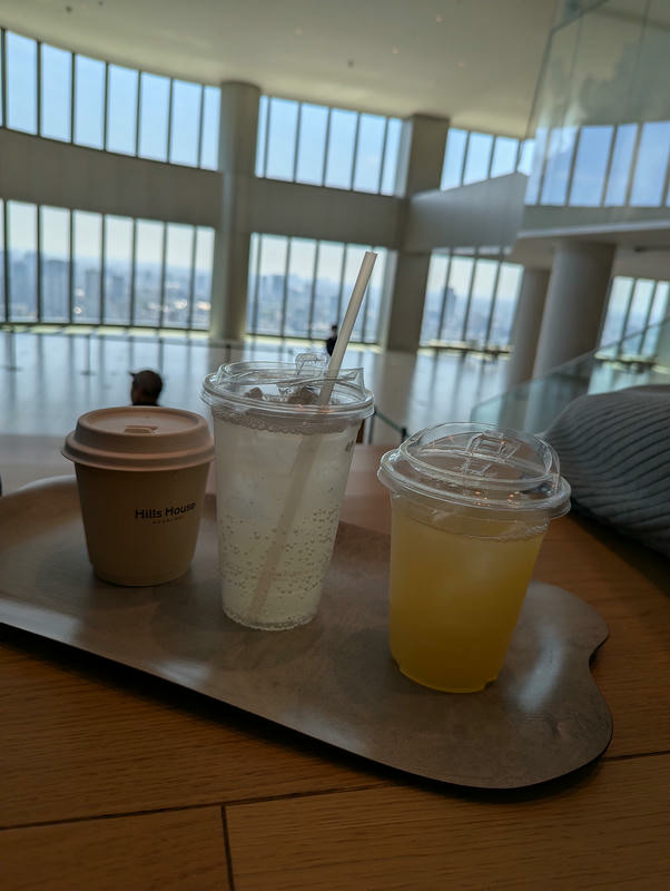 【不是遊記 - 20】 東京的浮華虛幻與潮流藝術--麻布台之丘、TeamLab及SKY CAFE