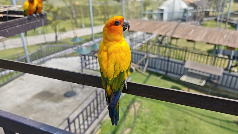 （號稱）亞洲最大鳥類動物園 - 九九峰動物樂園一日遊記 -