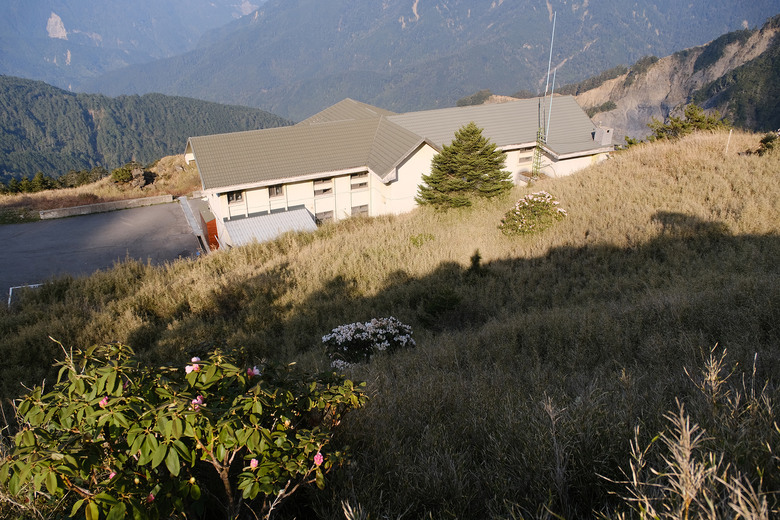 【合歡山東峰】絕美的登山步道與高山杜鵑花