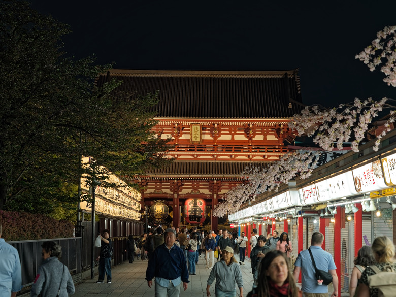 日本東北賞櫻六日遊(omsystem OM3+OM1II)