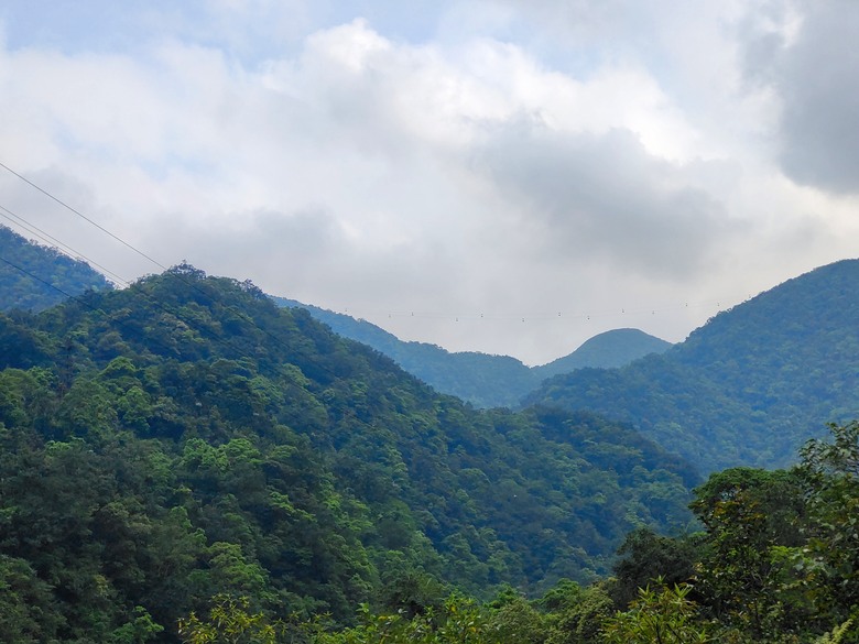 背著書包去越野－－武荖坑林道信大水泥大白山礦路