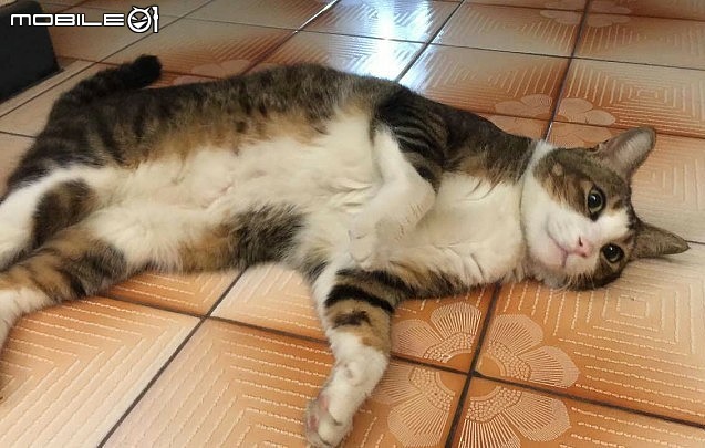 究竟要花多久時間，才能走出「老來喪子」的椎心之痛？