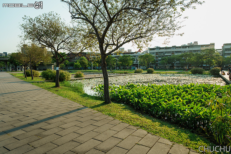 Sony A7C2 與 ZEISS Batis 2/25 的全家出遊記