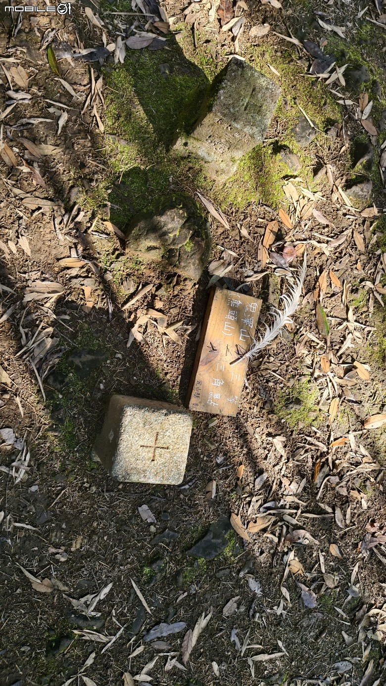 新竹冷門登山路線 | 滿滿竹林 |鬼澤山