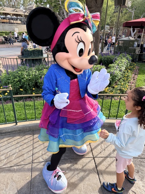 (2026 April) 🇺🇸 🏰 卅五年之後 再遊 狄斯耐樂園 Disneyland 🇺🇸👸🏻