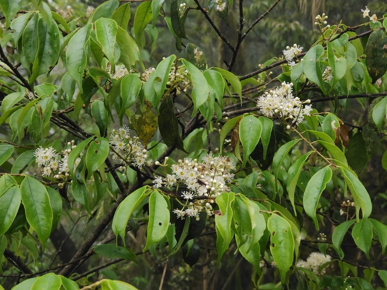 【時空騎旅】1916年、1936年與1981年之差點回不來的探險