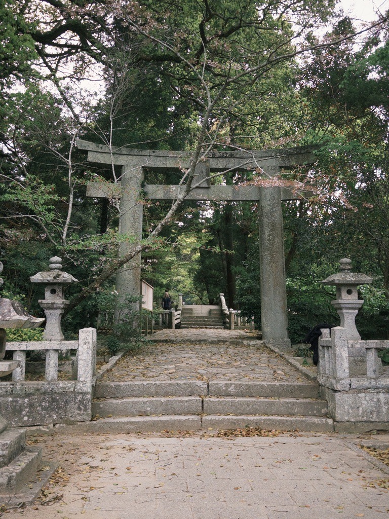 福岡首次自駕遊分享