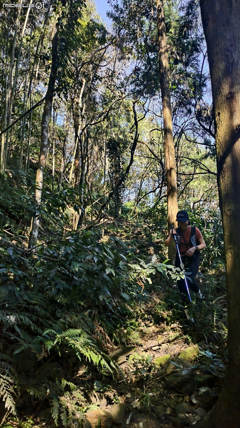 新竹冷門登山路線 | 滿滿竹林 |鬼澤山