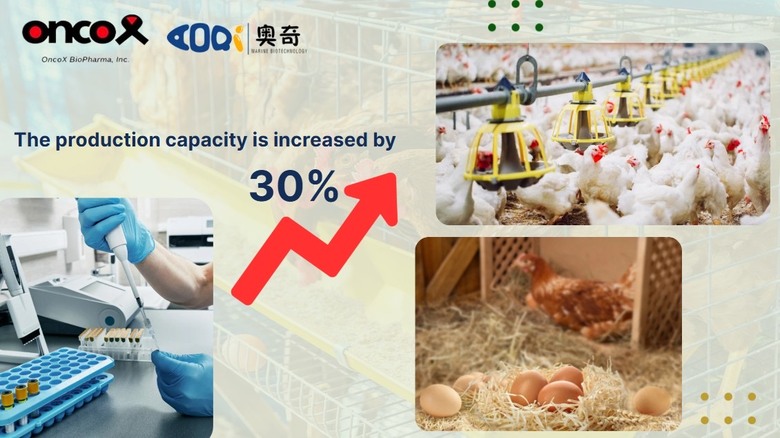 從癌症新藥到千億生醫原料市場，OncoX開啟爆發成長新動能