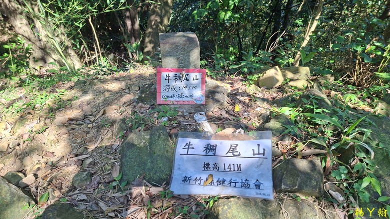 【郊山走走】輕鬆健行內湖7連峰、再賞大湖公園落羽松
