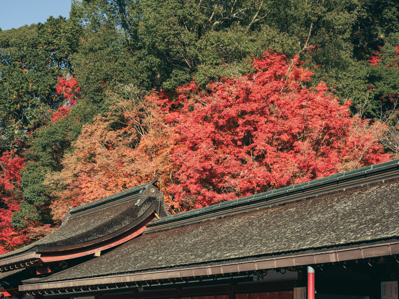 九州之旅 上 OM3+12-100 F4