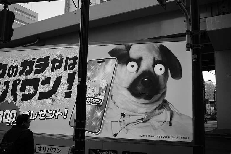 [分享] 當旅遊照少了色彩(下) — Leica M10
